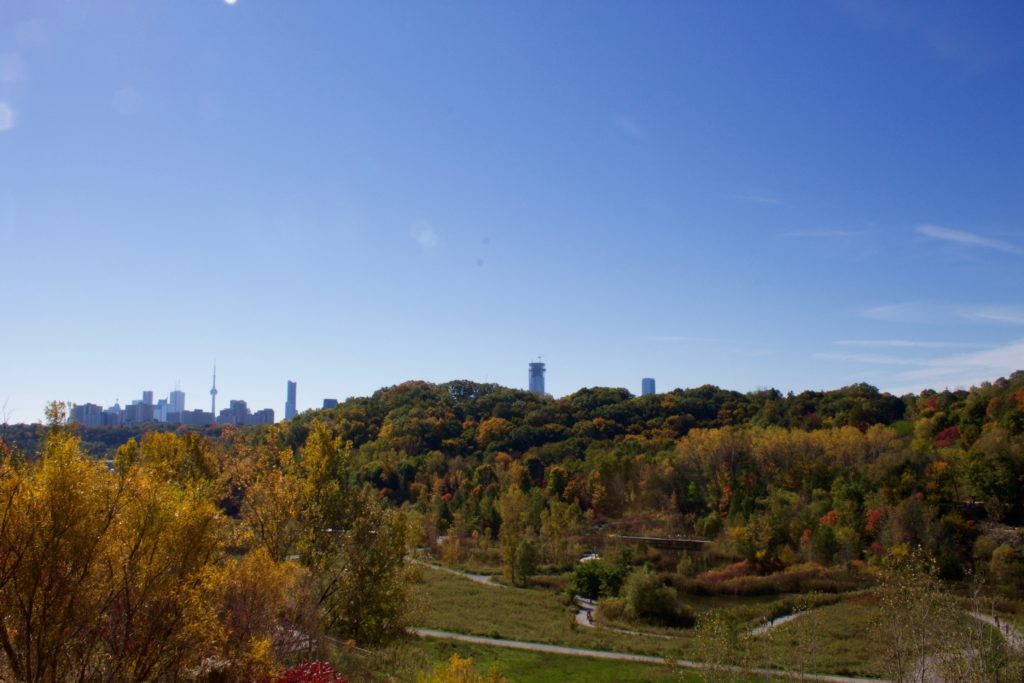 Evergreen Brickworks