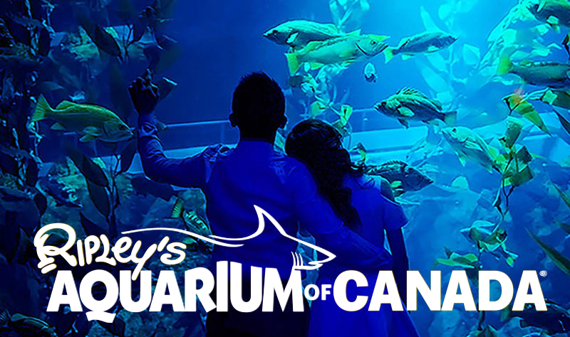Ripley’s Aquarium