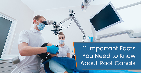 11 Important Facts You Need to Know About Root Canals
